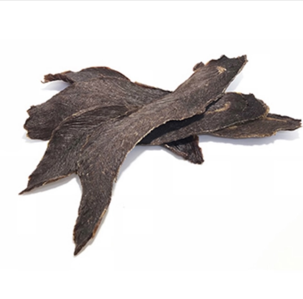 CB24DD7D-5F8D-458F-A3A2-CDB4088255DC